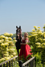 Paardenfotografie